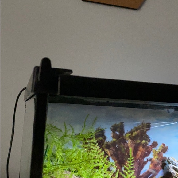 Reptile (leopard Gecko) Tank - Picture 4 of 6